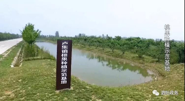 泗陽縣交通產業集團有限公司